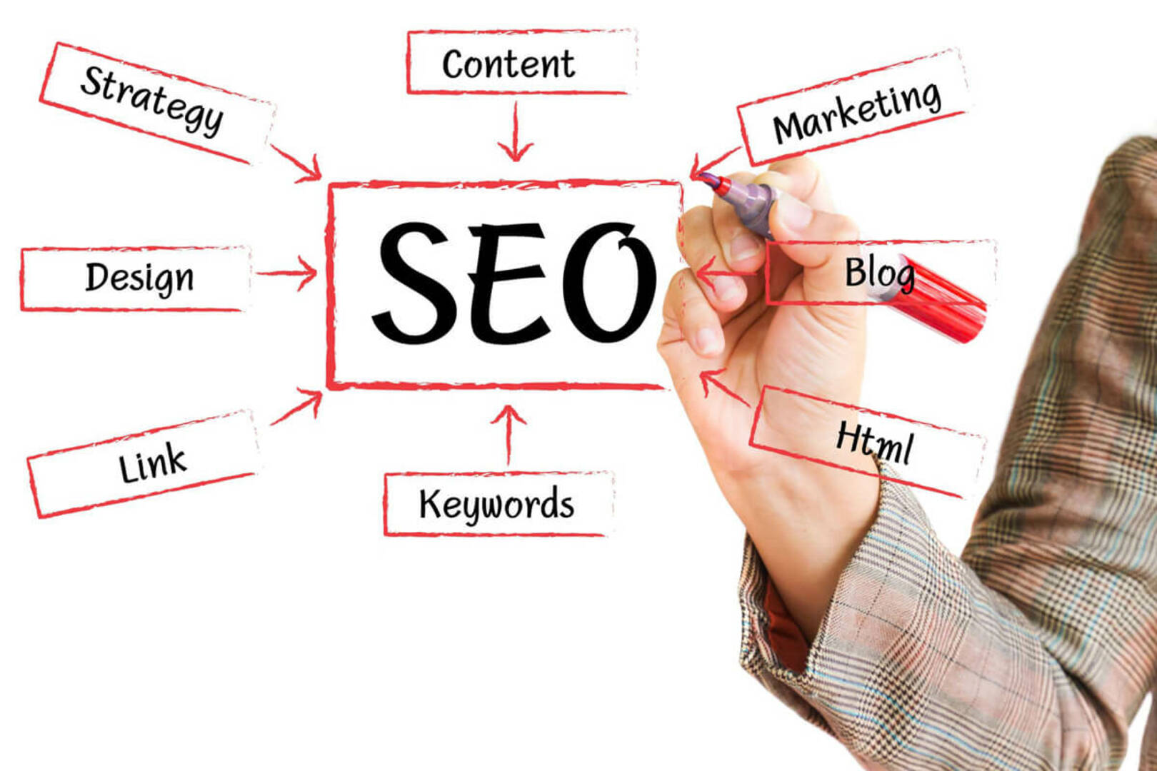 Alpha SEO logo