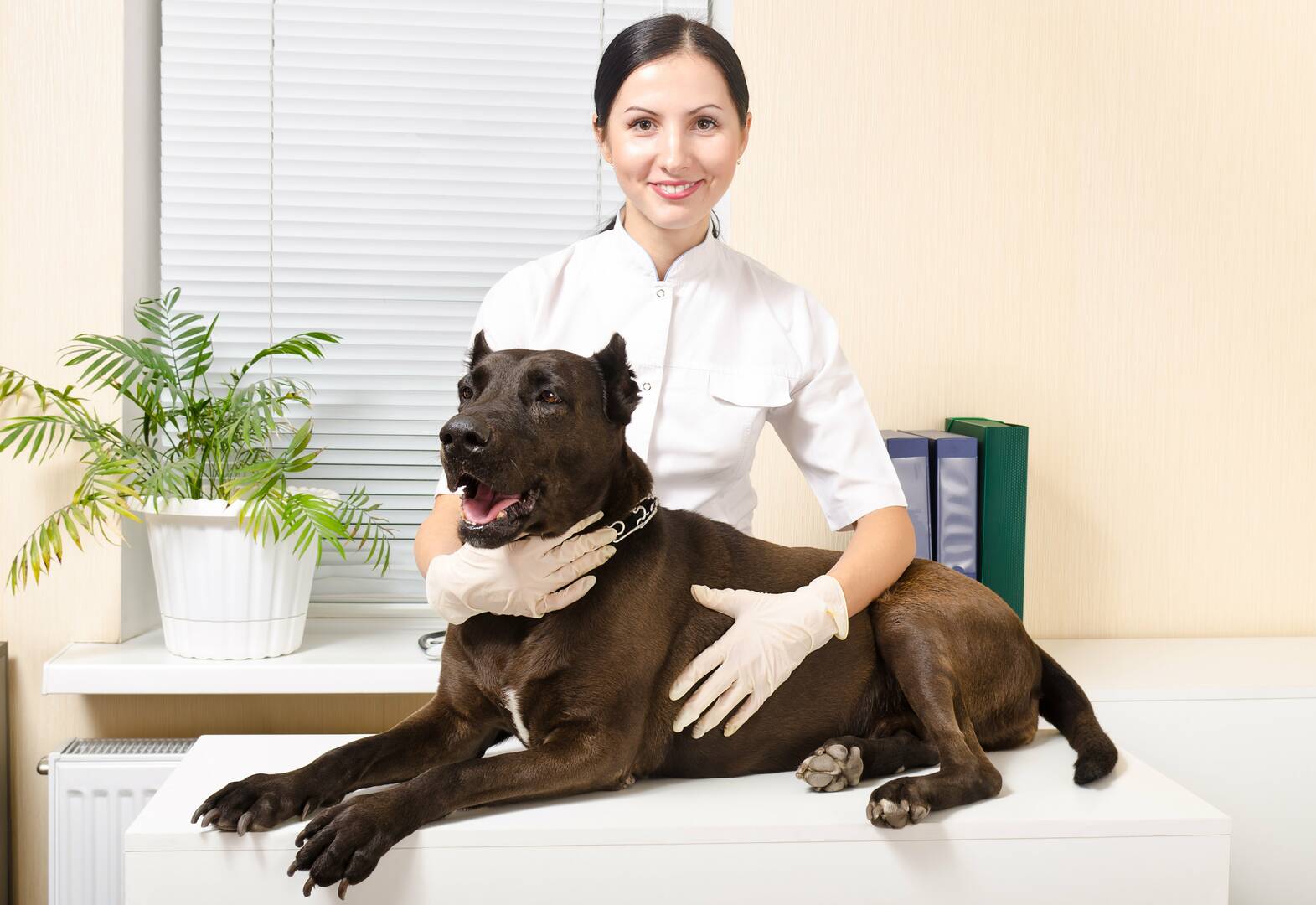 Marcie's Pet Spa logo